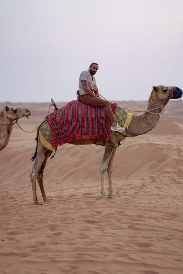 Aysoti Dale Camel Patterned Short Sleeve Shirt